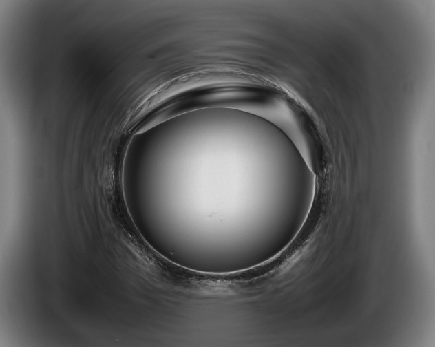 X0000086080969200703301125