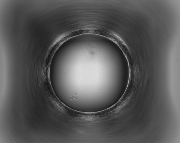 X0000086080970200703301125