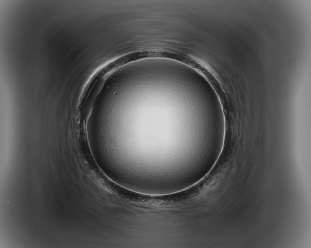 X0000086080971200703301125