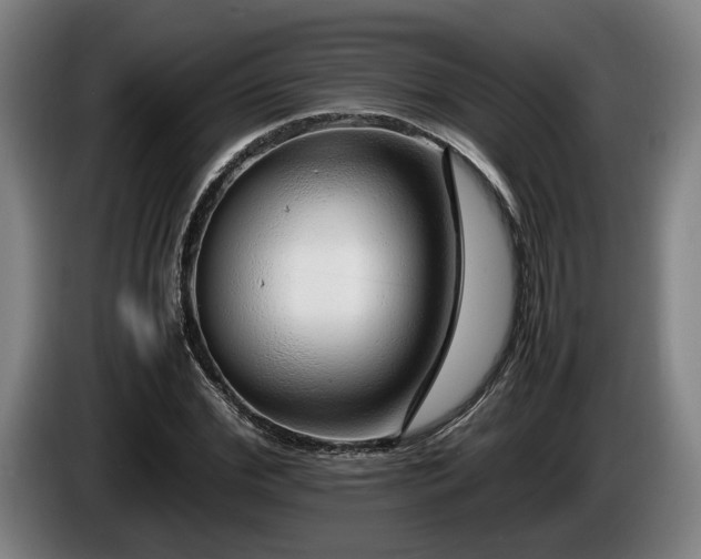 X0000086080972200703301125