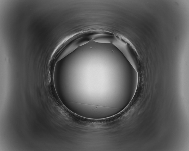 X0000086080973200703301125