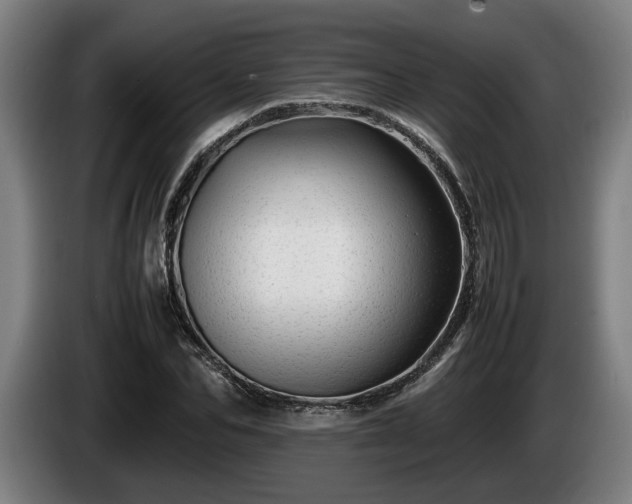 X0000086080974200703301125