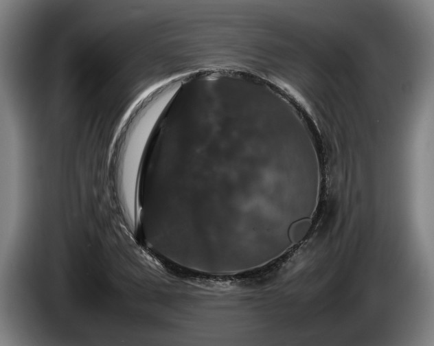 X0000086080975200703301125