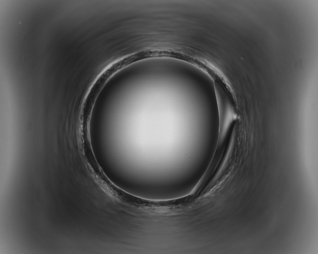 X0000086080976200703301125