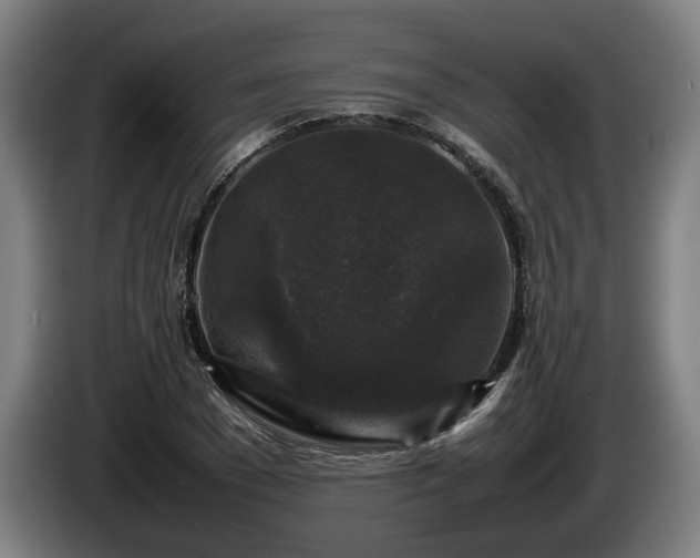 X0000086080977200703301125