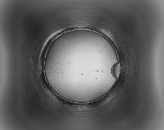 X0000086080979200703301125