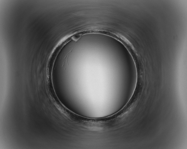 X0000086080981200703301125