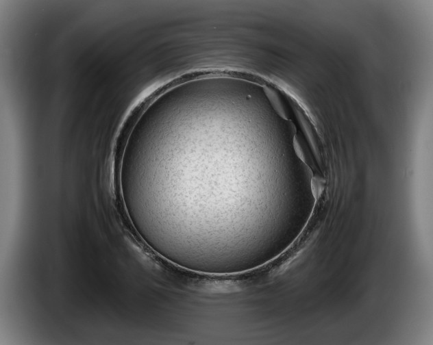 X0000086080982200703301125