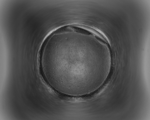 X0000086080983200703301125