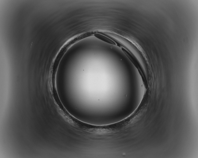 X0000086080984200703301125