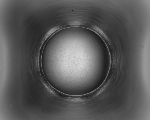 X0000086080986200703301125