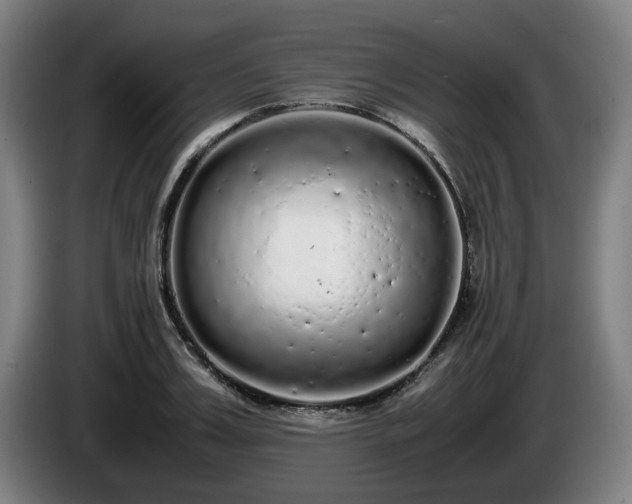 X0000086080987200703301125