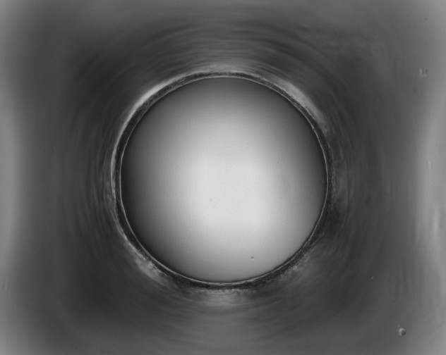 X0000086080988200703301125