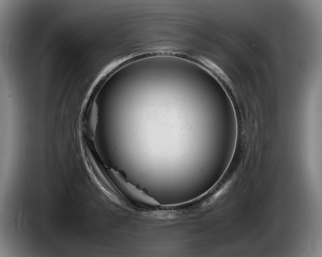 X0000086080989200703301125