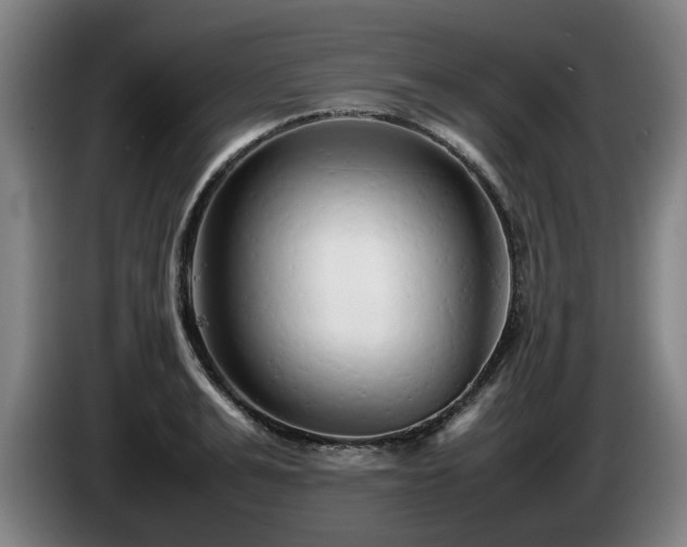 X0000086080991200703301125