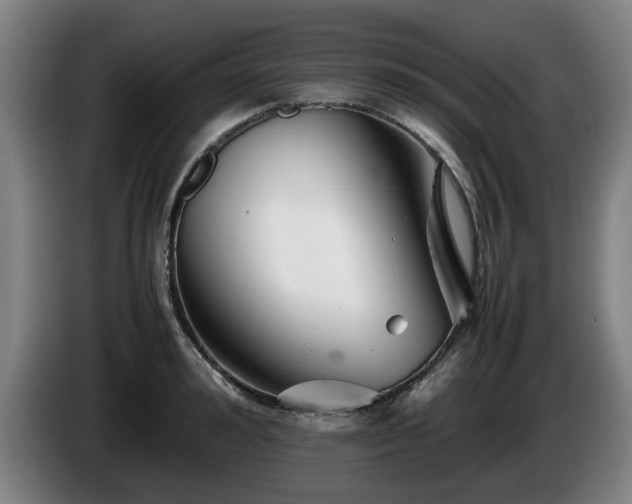 X0000086080992200703301124