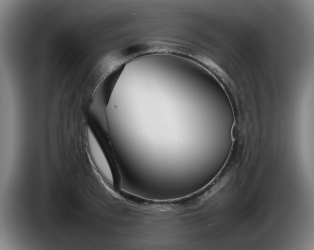 X0000086080993200703301124