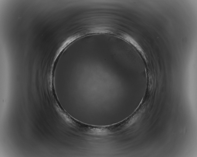 X0000086080994200703301124