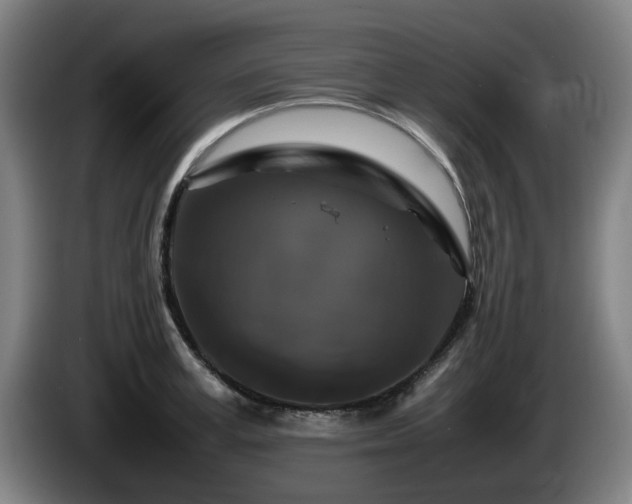 X0000086080995200703301124