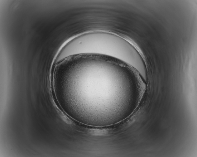 X0000086080996200703301124