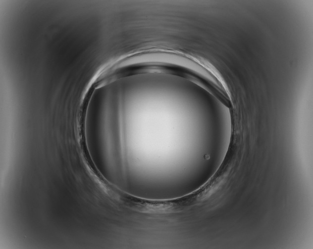 X0000086080997200703301124