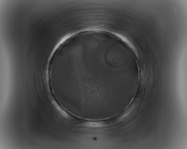 X0000086080998200703301124