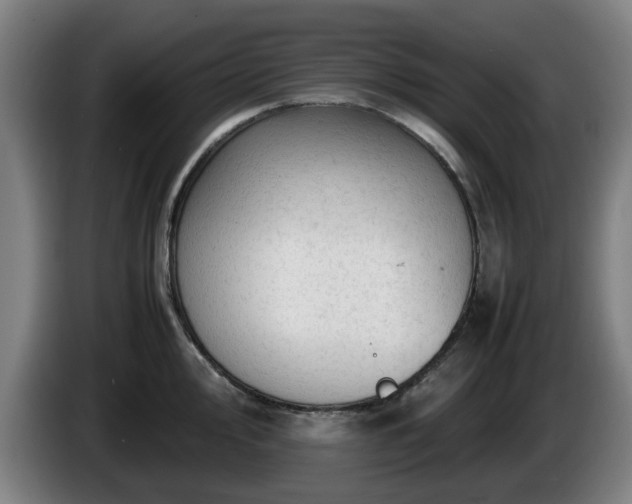 X0000086081000200703301124