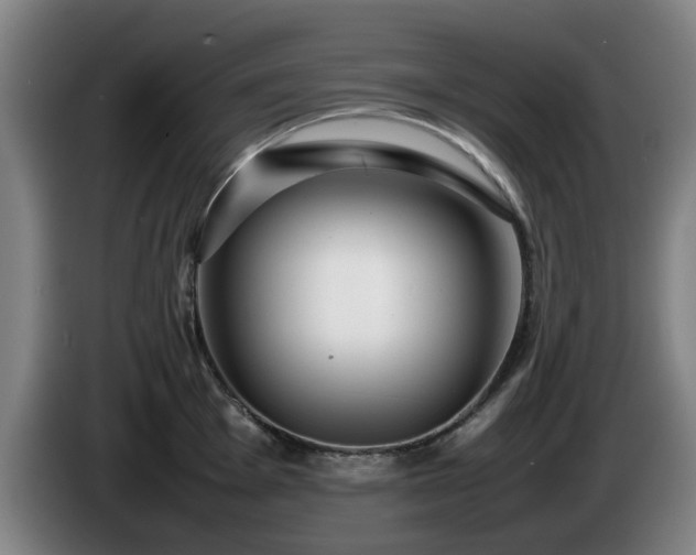 X0000086081001200703301124