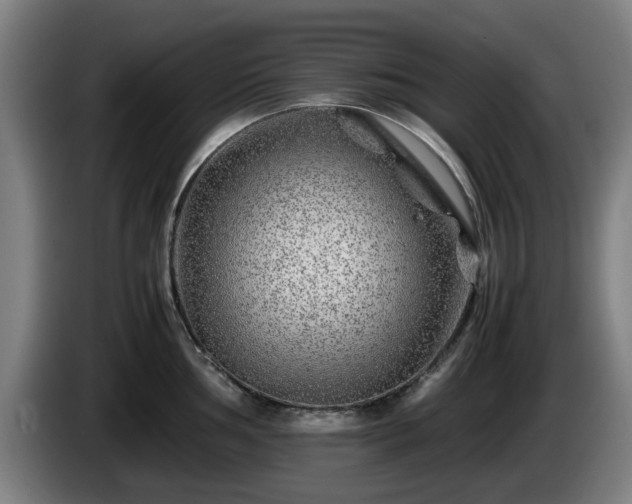 X0000086081002200703301124