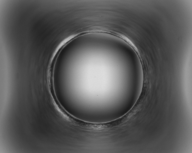 X0000086081003200703301124