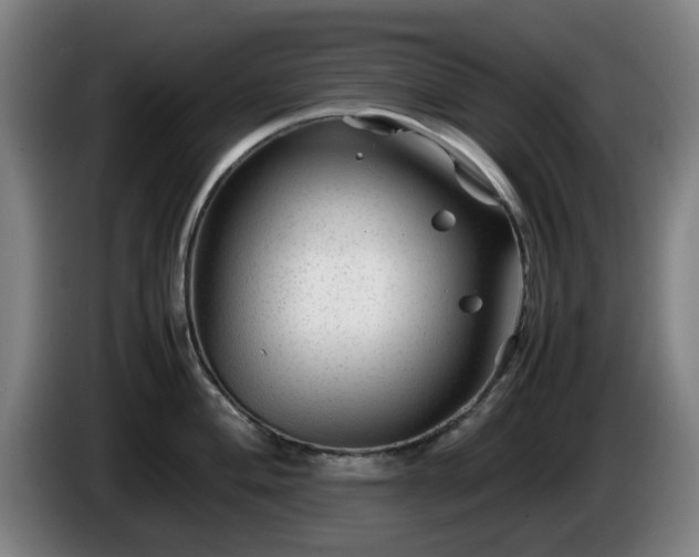 X0000086081004200703301124