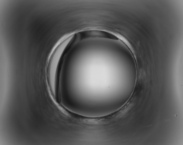 X0000086081005200703301124