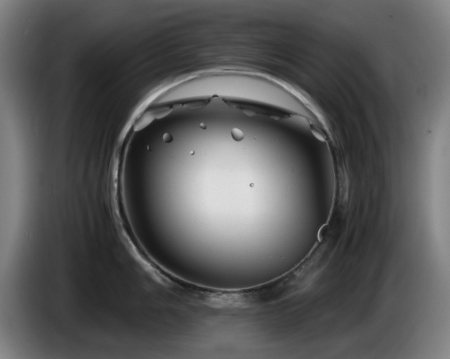 X0000086081006200703301124