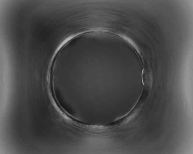 X0000086081007200703301124