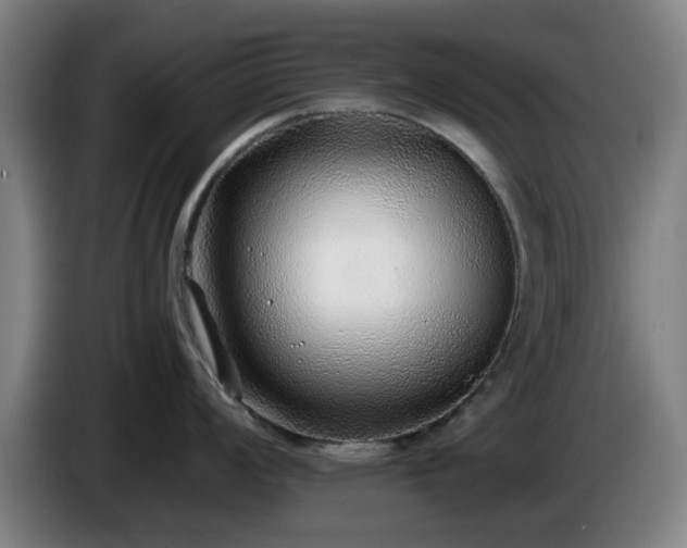 X0000086081008200703301124