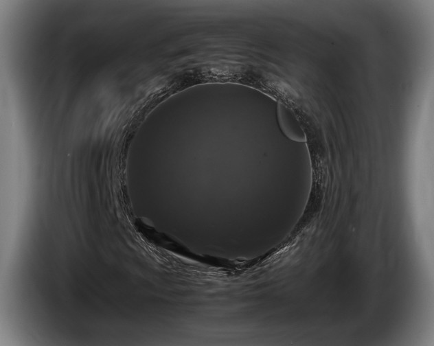 X0000086081009200703301124