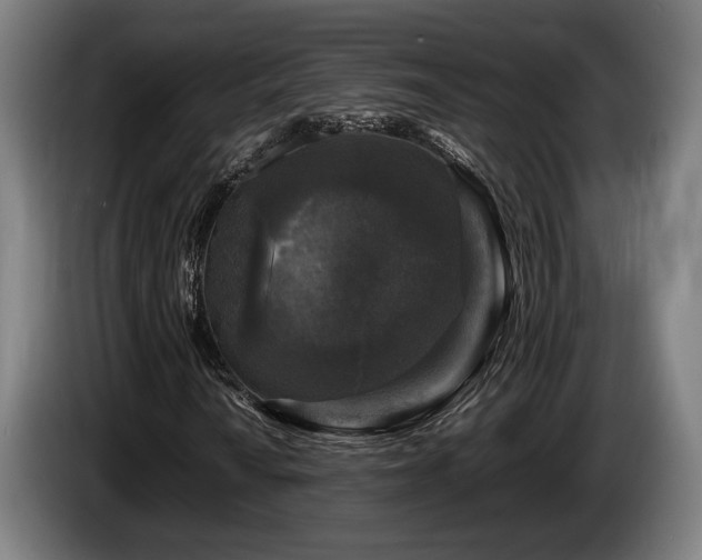 X0000086081010200703301124