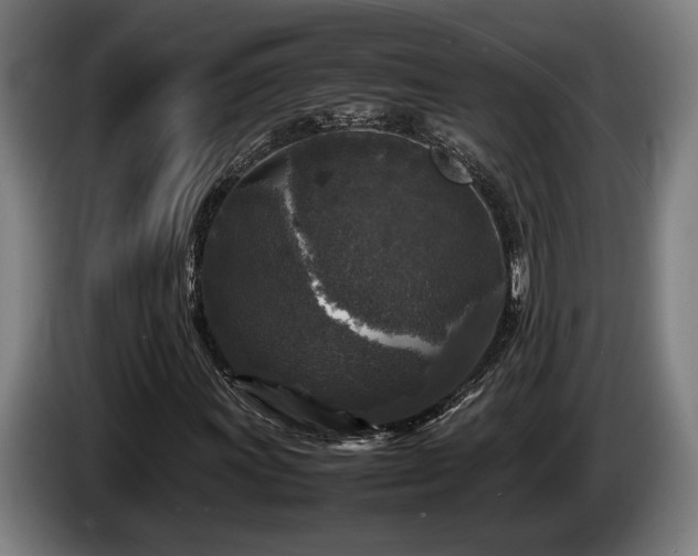 X0000086081011200703301124