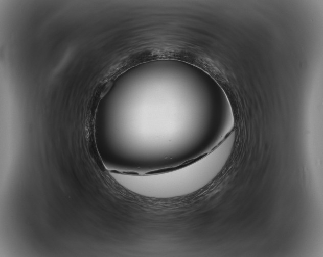 X0000086081012200703301124