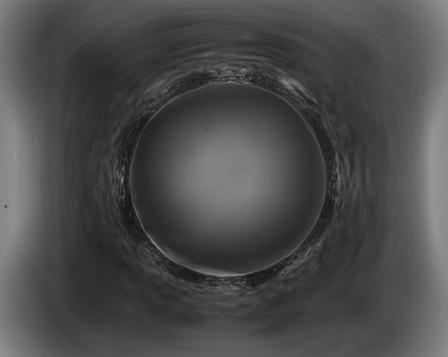 X0000086081013200703301124