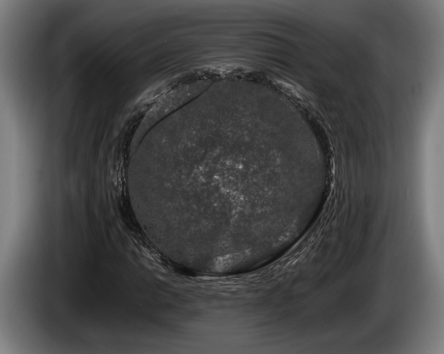 X0000086081014200703301124