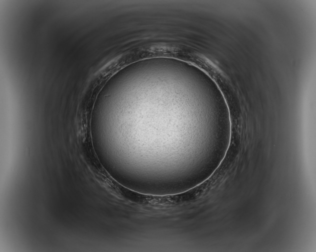 X0000086081015200703301124