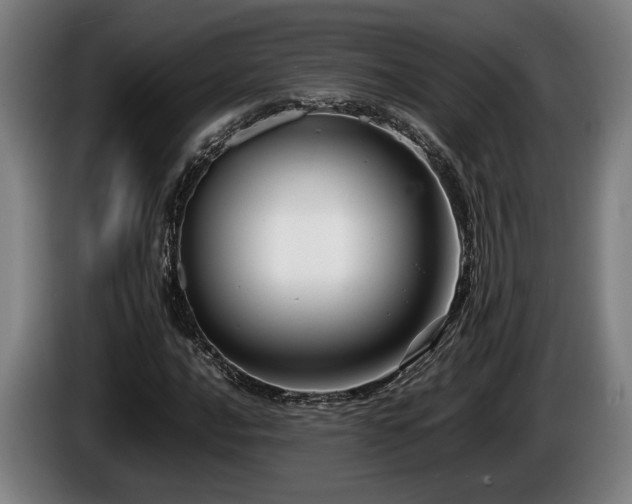 X0000086081016200703301124