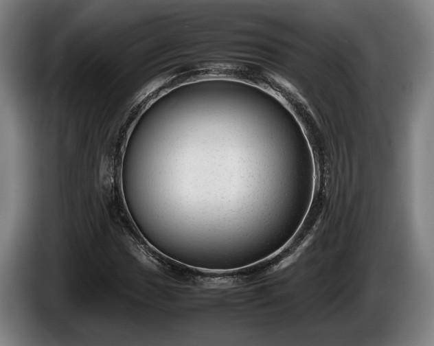 X0000086081017200703301124