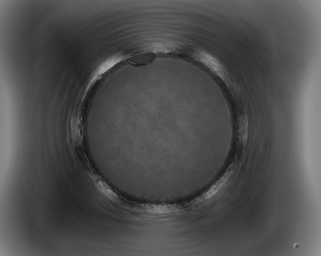 X0000086081018200703301124