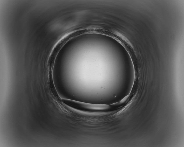 X0000086081021200703301124