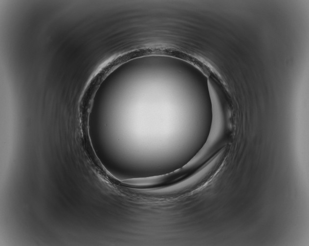 X0000086081022200703301124