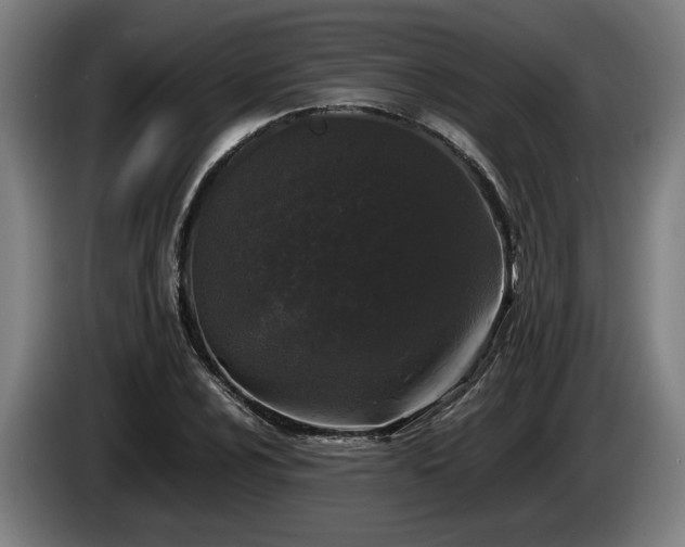 X0000086081024200703301124