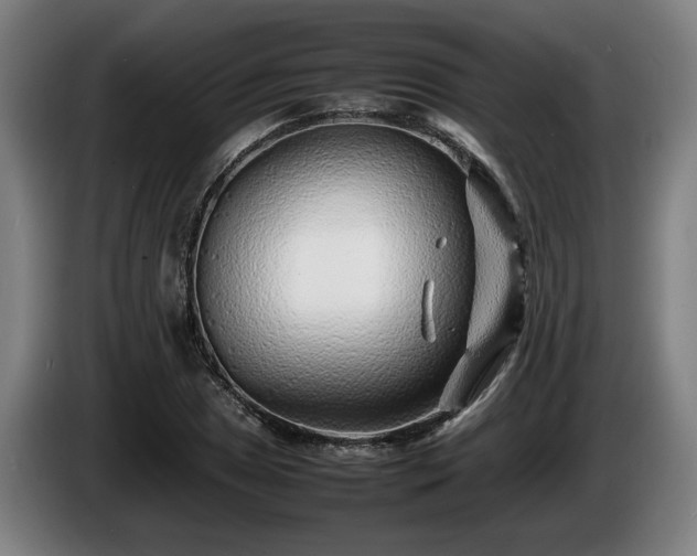 X0000086081025200703301124