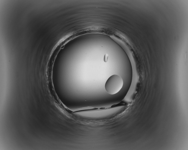 X0000086081026200703301124